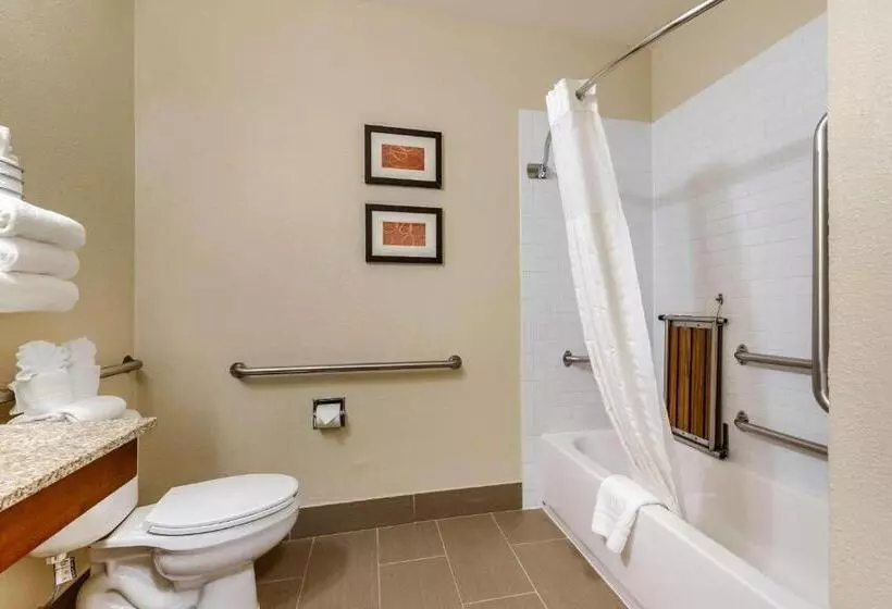 身障者適用スイートルーム, Comfort Suites Fort Collins Near University