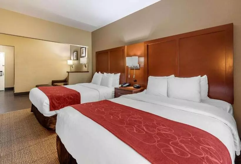 身障者適用スイートルーム, Comfort Suites Fort Collins Near University