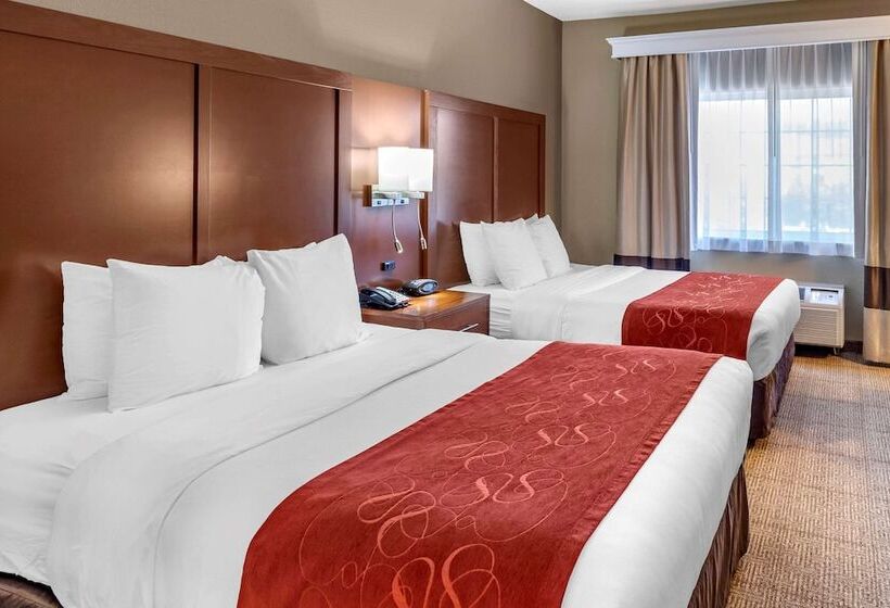 جناح, Comfort Suites Fort Collins Near University