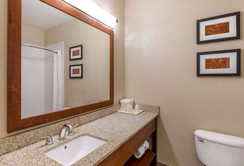 Люкс, Comfort Suites Fort Collins Near University