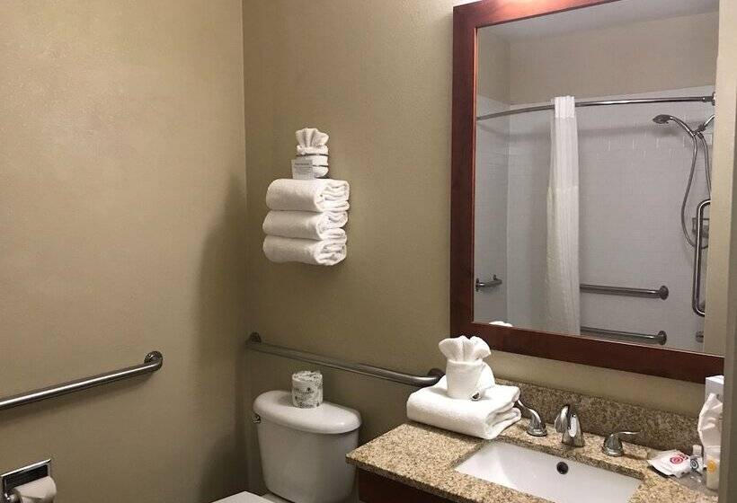 جناح, Comfort Suites Fort Collins Near University