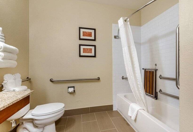 جناح لذوى الاحتياجات الخاصة, Comfort Suites Fort Collins Near University