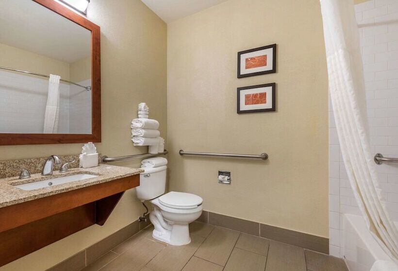 جناح لذوى الاحتياجات الخاصة, Comfort Suites Fort Collins Near University