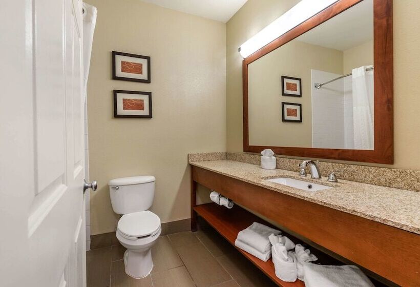 جناح لذوى الاحتياجات الخاصة, Comfort Suites Fort Collins Near University