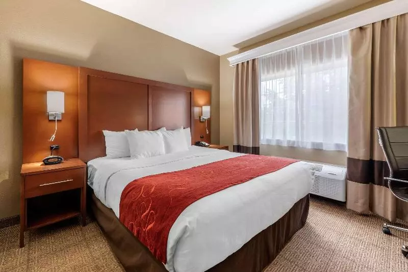キングサイズベッドのスイートルーム, Comfort Suites Fort Collins Near University