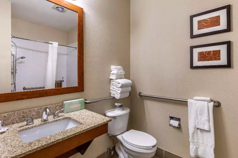 キングサイズベッドのスイートルーム, Comfort Suites Fort Collins Near University