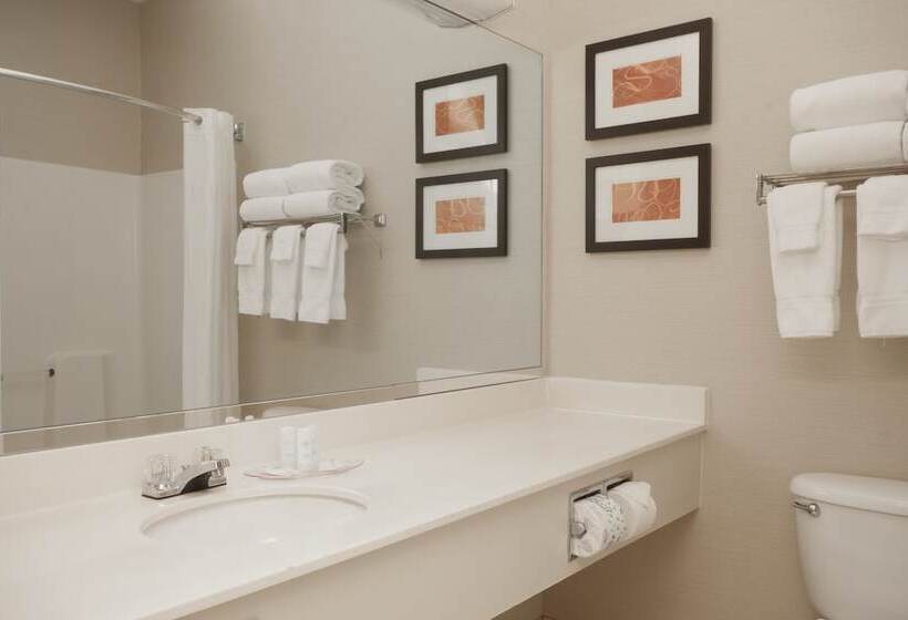 Люкс, Comfort Suites Keeneland