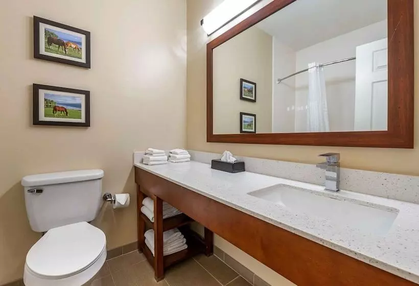 スイート, Comfort Suites Keeneland