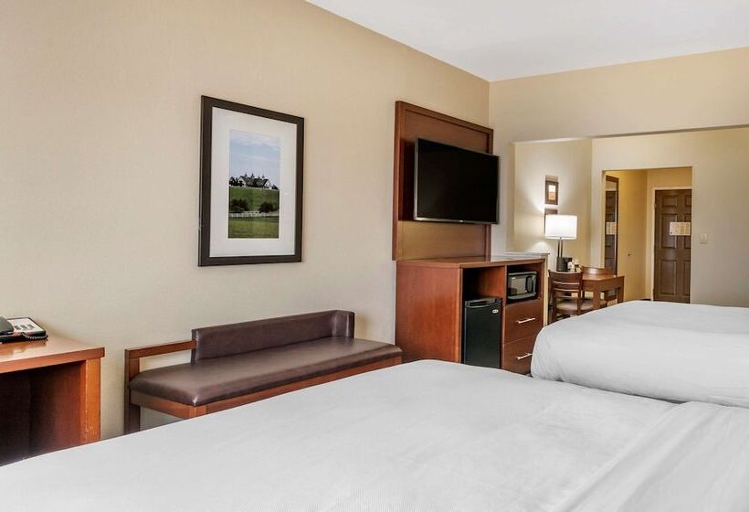 Люкс, Comfort Suites Keeneland
