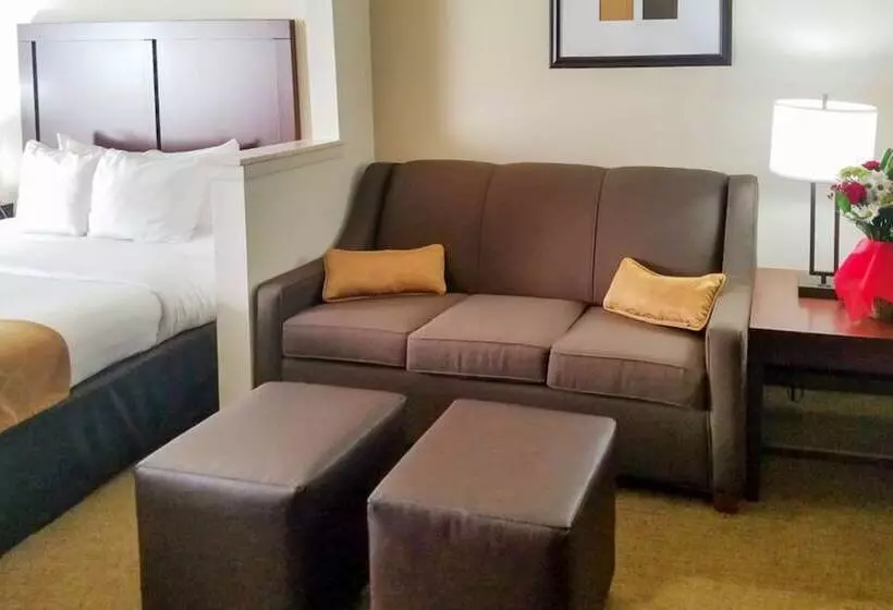 Sviitti, Quality Suites Irving Las Colinas