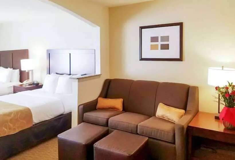 Sviitti, Quality Suites Irving Las Colinas