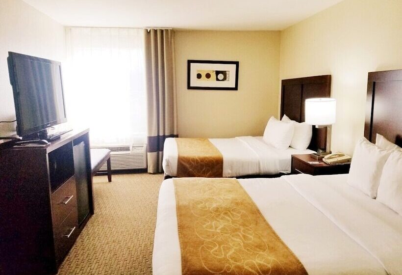 Suite, Quality Suites Irving Las Colinas