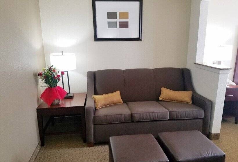 Suite, Quality Suites Irving Las Colinas