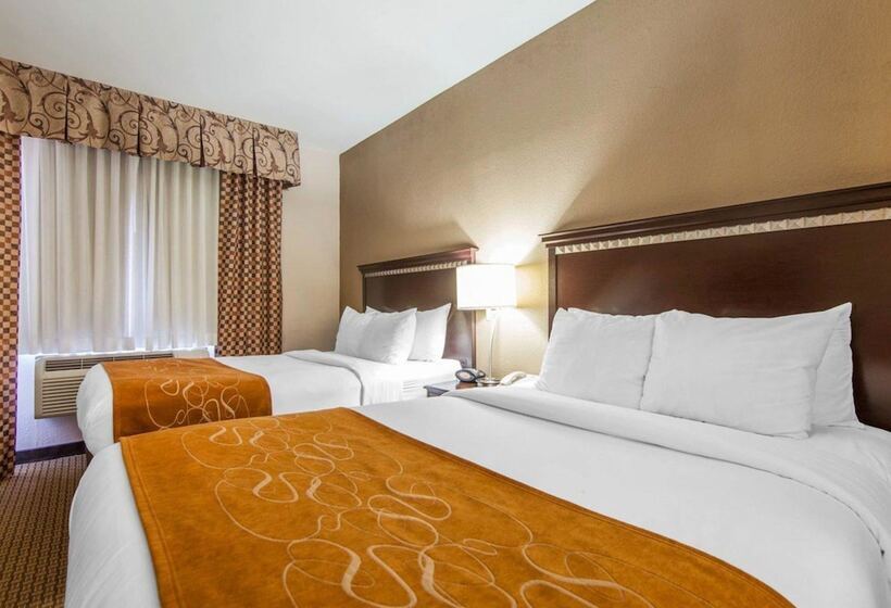 Люкс, Comfort Suites