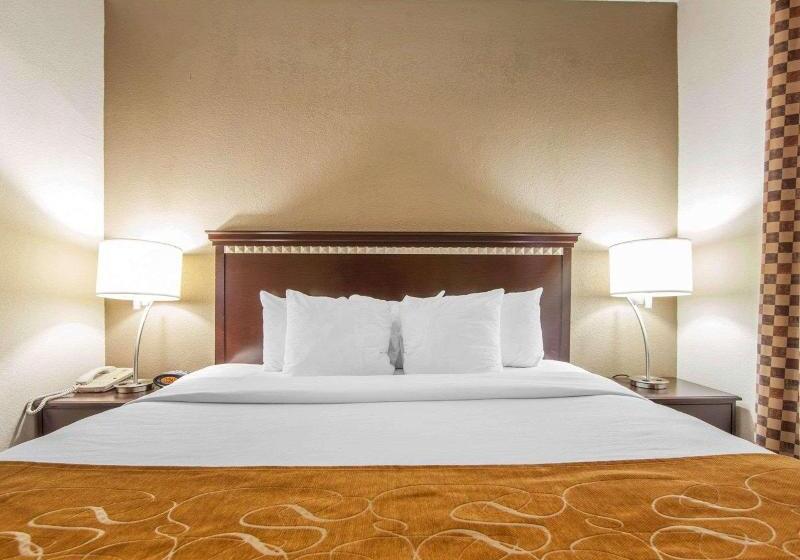 Люкс Кровать Кинг, Comfort Suites