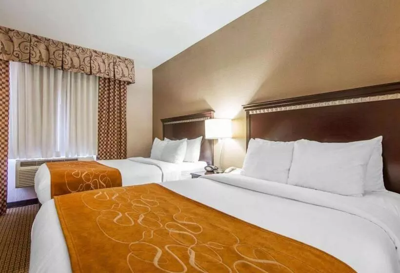 スイート, Comfort Suites