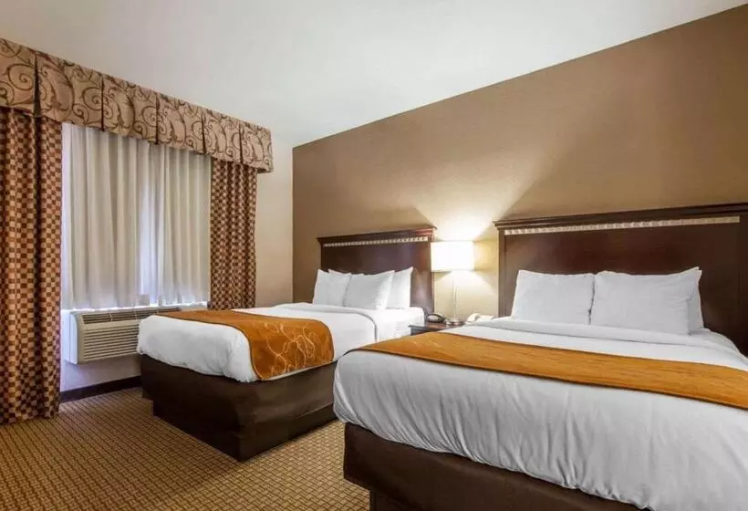 スイート, Comfort Suites