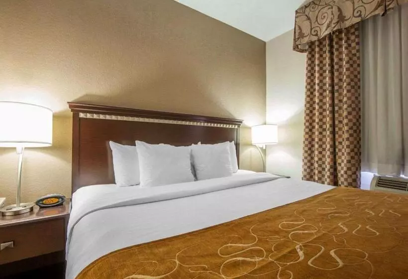 身障者適用スイートルーム, Comfort Suites