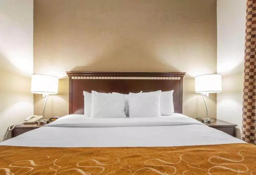 キングサイズベッドのスイートルーム, Comfort Suites