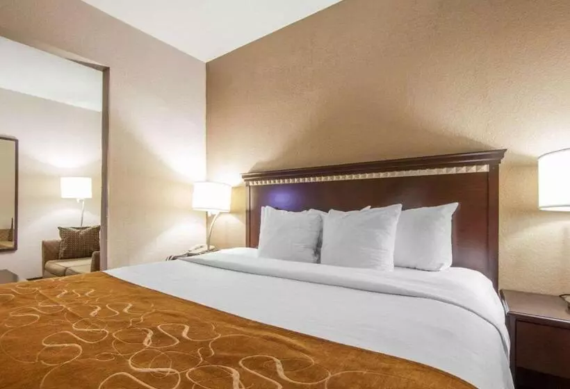 キングサイズベッドのスイートルーム, Comfort Suites