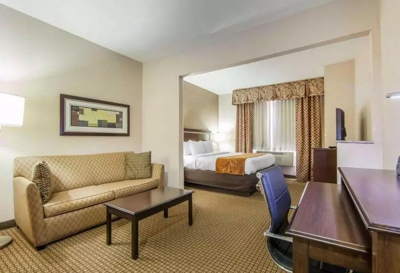 キングサイズベッドのスイートルーム, Comfort Suites