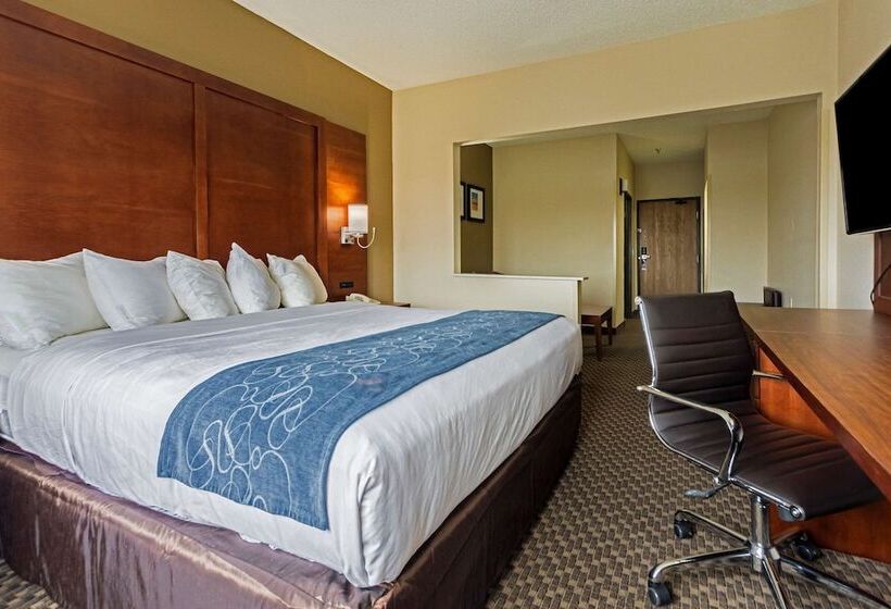 Люкс, Comfort Suites University