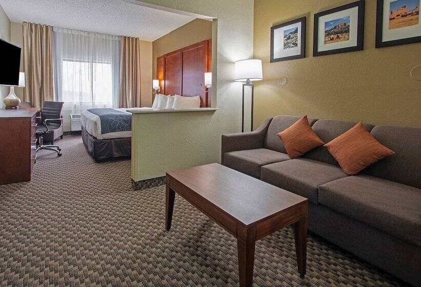 Люкс, Comfort Suites University