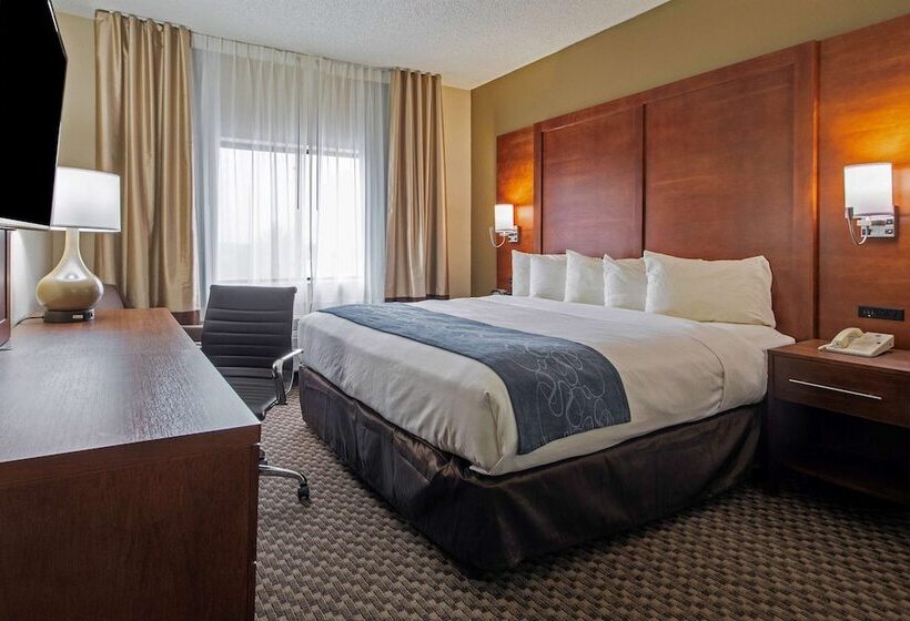 Люкс, Comfort Suites University