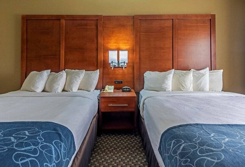 Люкс, Comfort Suites University