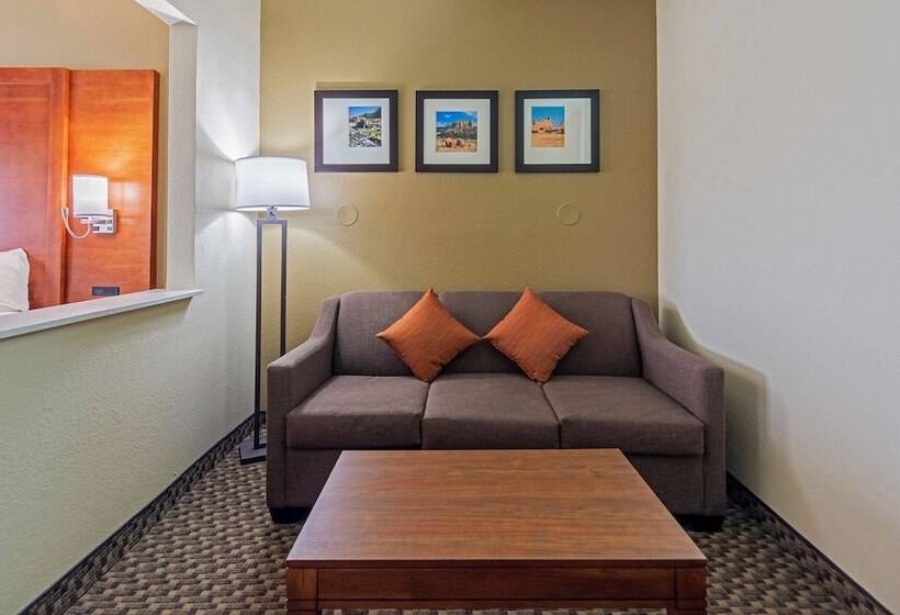 Люкс, Comfort Suites University