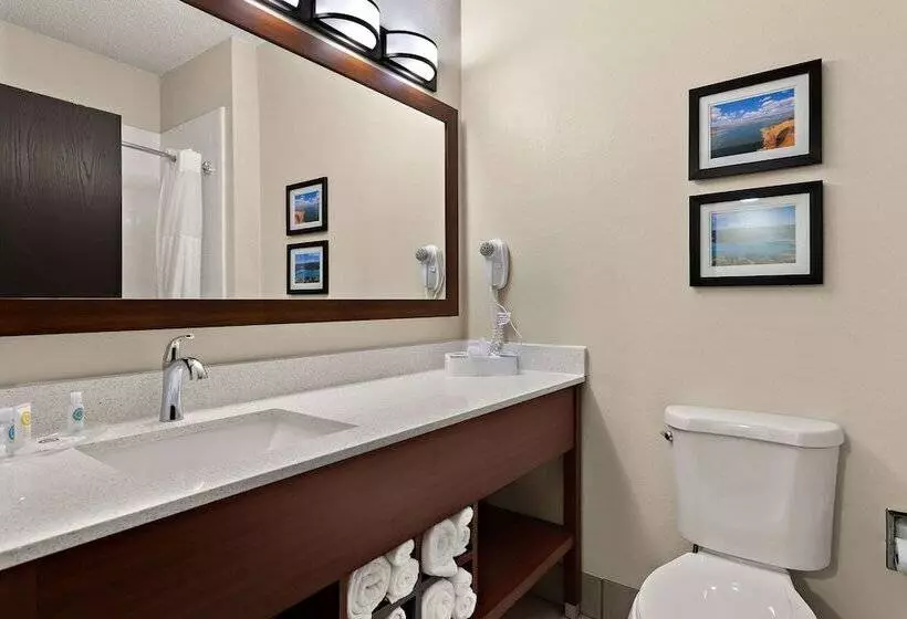 سوییت, Comfort Suites University