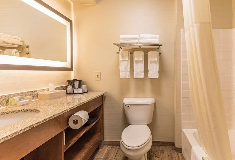 标准间, Coshocton Village Inn & Suites