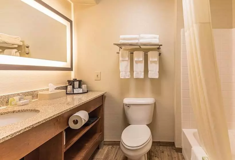 スタンダードルーム, Coshocton Village Inn & Suites