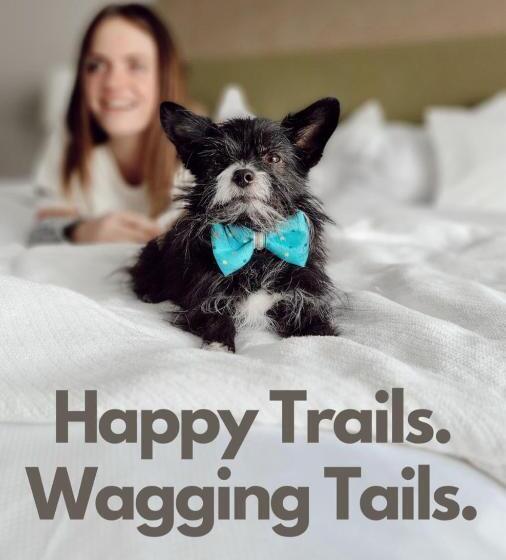 غرفة قياسية, Country Inn & Suites By Radisson, Detroit Lakes, Mn