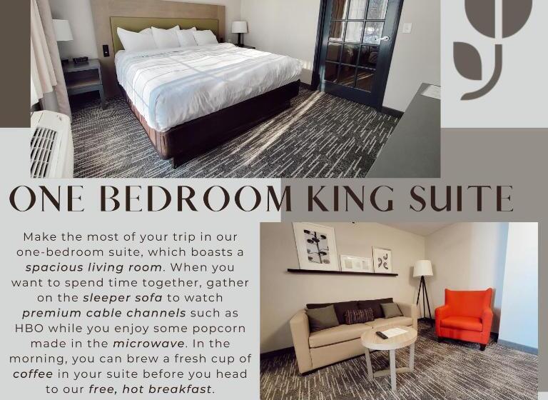 جناح سرير كينج, Country Inn & Suites By Radisson, Detroit Lakes, Mn