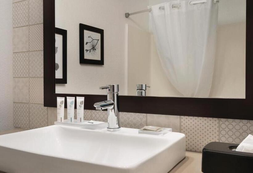 جناح ديلوكس سرير كينج, Country Inn & Suites By Radisson, Detroit Lakes, Mn