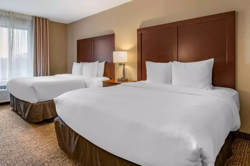 スタンダードルーム, Country Inn & Suites By Radisson, Detroit Lakes, Mn