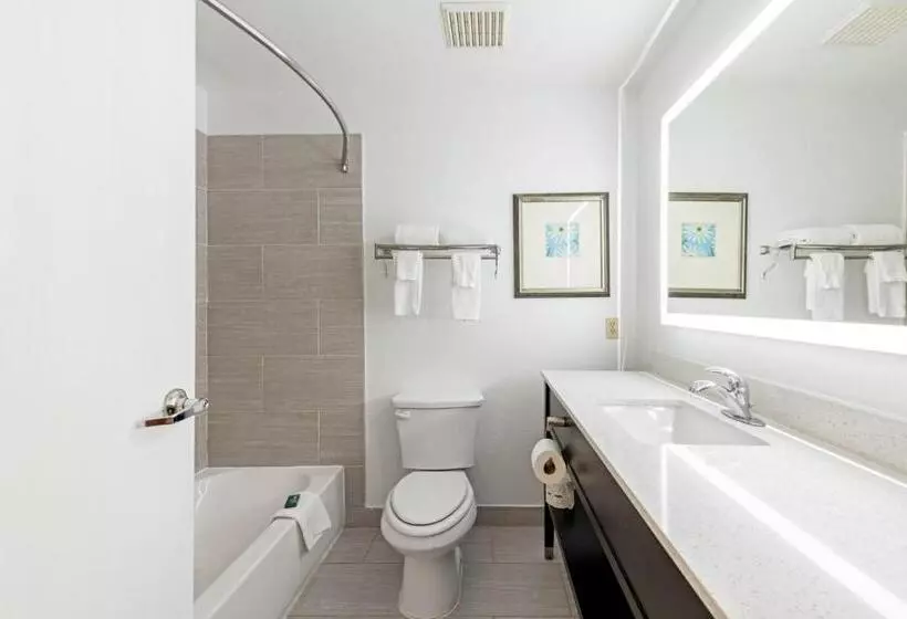 Standard-huone King-vuode, Country Inn & Suites By Radisson, Lewisville, Tx