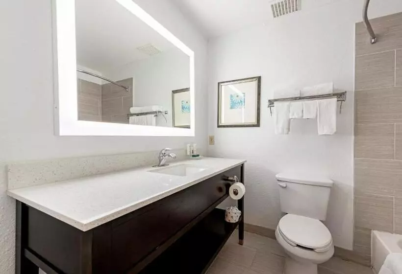 Standard-huone King-vuode, Country Inn & Suites By Radisson, Lewisville, Tx