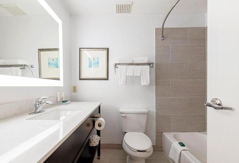 Стандартный Номер Кровать Кинг, Country Inn & Suites By Radisson, Lewisville, Tx