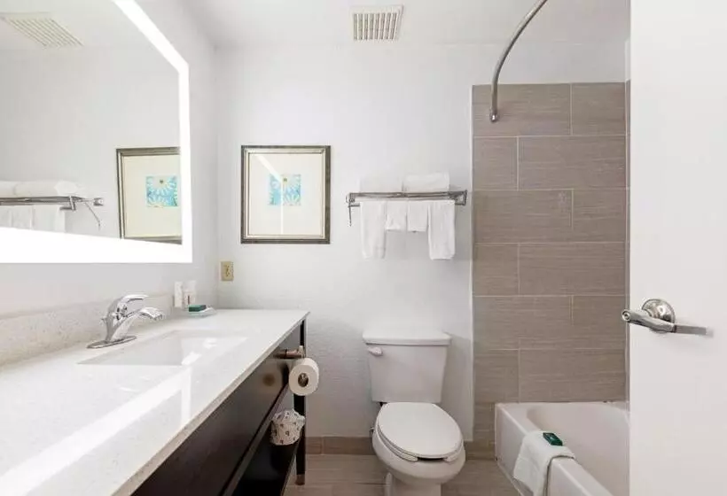 Standard-huone King-vuode, Country Inn & Suites By Radisson, Lewisville, Tx