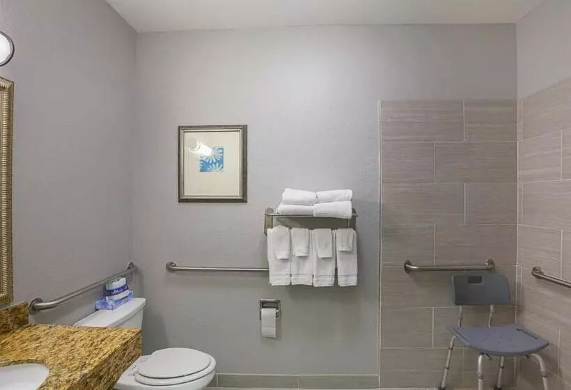 Standard-invahuone King-vuode, Country Inn & Suites By Radisson, Lewisville, Tx