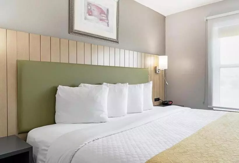 Sviitti, Country Inn & Suites By Radisson, Lewisville, Tx