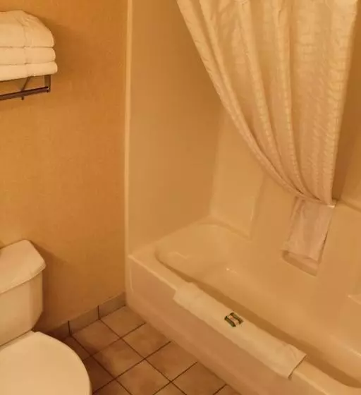 キングサイズベッドのスイートルーム, Country Inn & Suites By Radisson, Minneapolis Shakopee