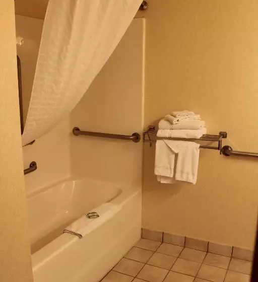 エクゼクティブスイート, Country Inn & Suites By Radisson, Minneapolis Shakopee