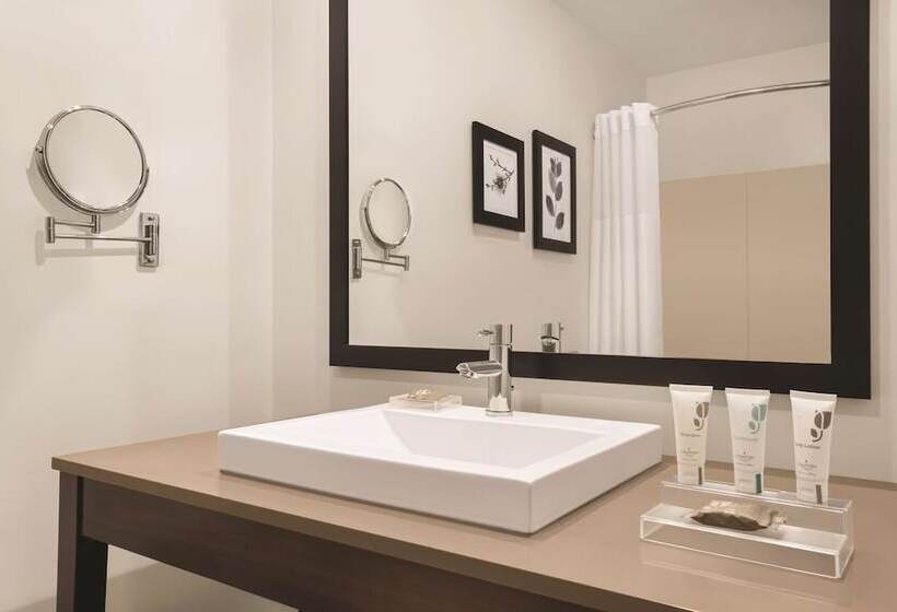 Suite Tilpasset til Handicappede, Country Inn & Suites By Radisson, Schaumburg, Il