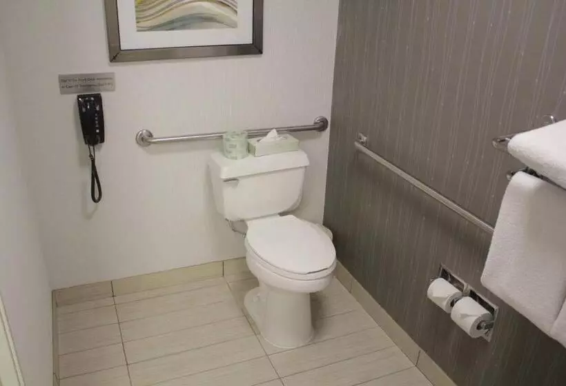 اتاق استاندارد با تخت بزرگ, Courtyard By Marriott Vacaville