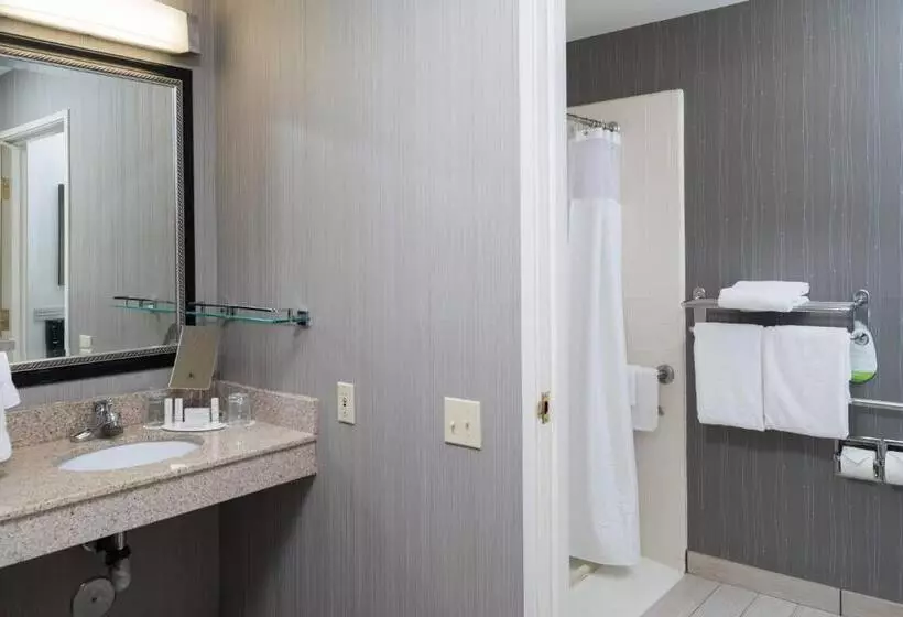 اتاق استاندارد با تخت بزرگ, Courtyard By Marriott Vacaville
