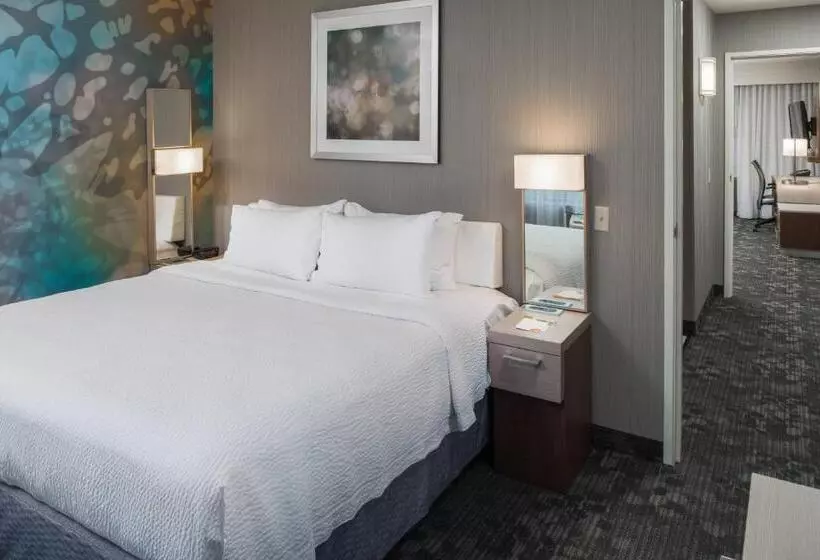 سوئیت با تخت بزرگ, Courtyard By Marriott Vacaville