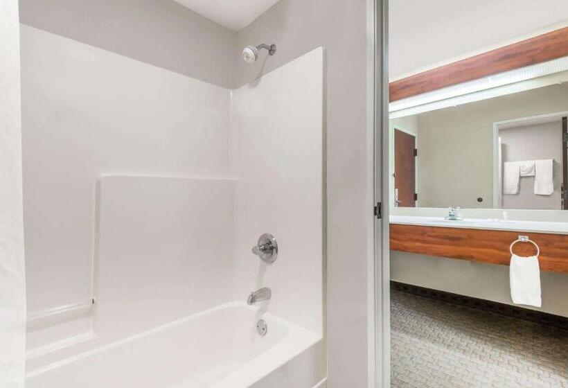 Suíte Deluxe, Days Inn By Wyndham Norton